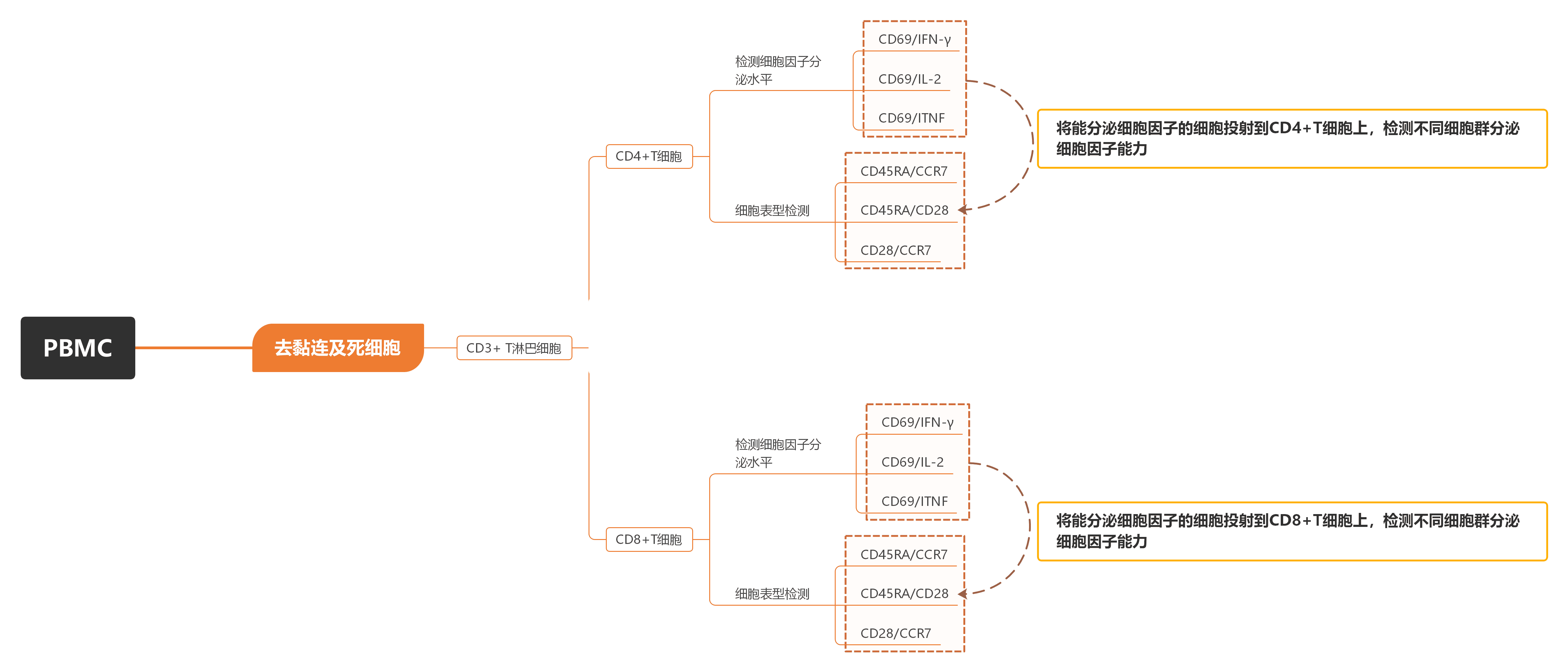 OMIP-005：11色分析抗原反应性T细胞的定性和表型