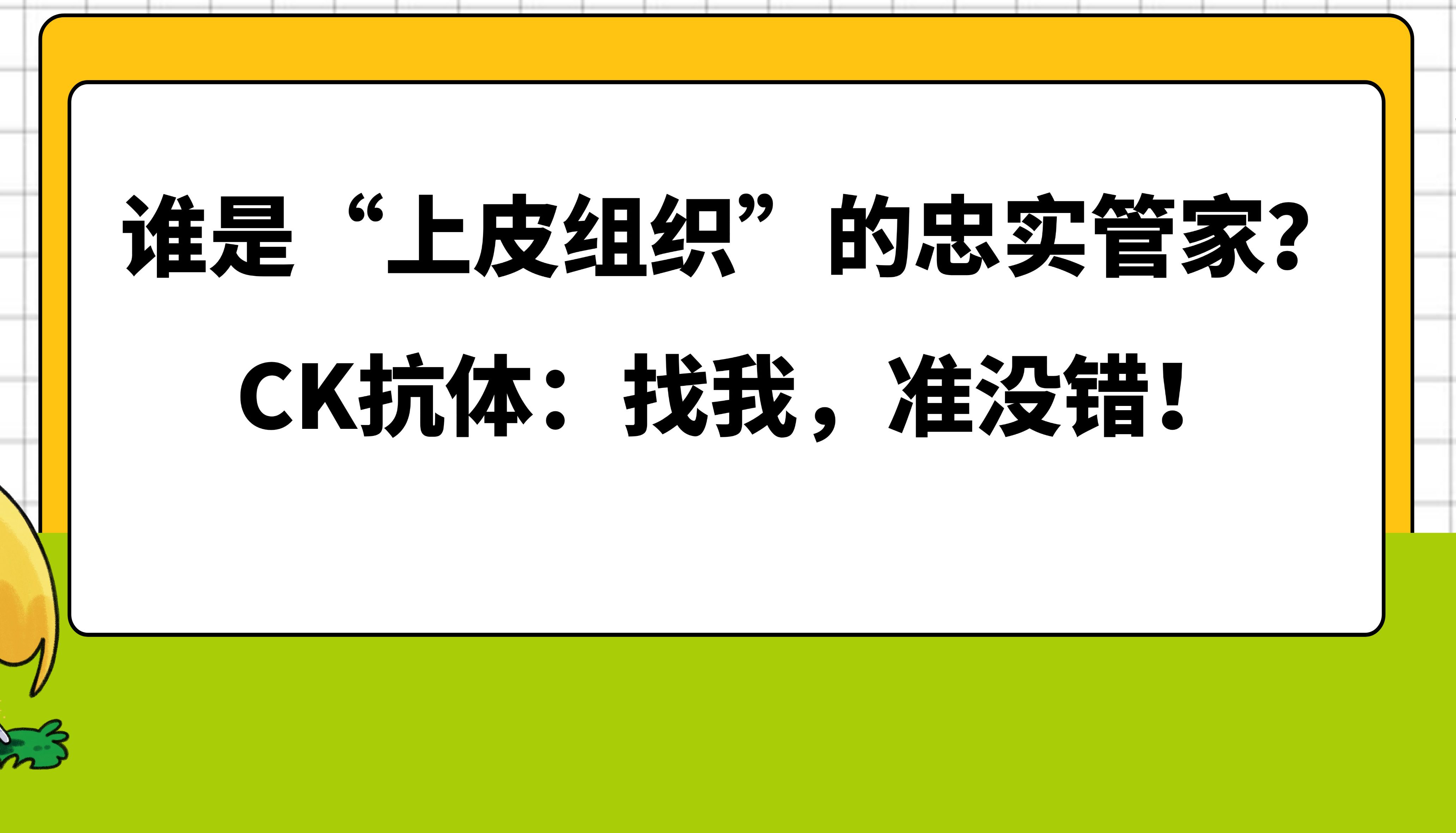 Bioss 爆品推荐 | 谁是“上皮组织”的忠实管家？CK抗体：找我，准没错！