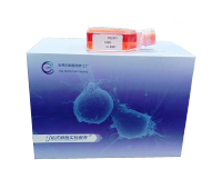 AML12 |AML12细胞|AML-12|AML-12细胞|AML-12小鼠肝细胞/种属鉴定/镜像绮点(Cellverse)