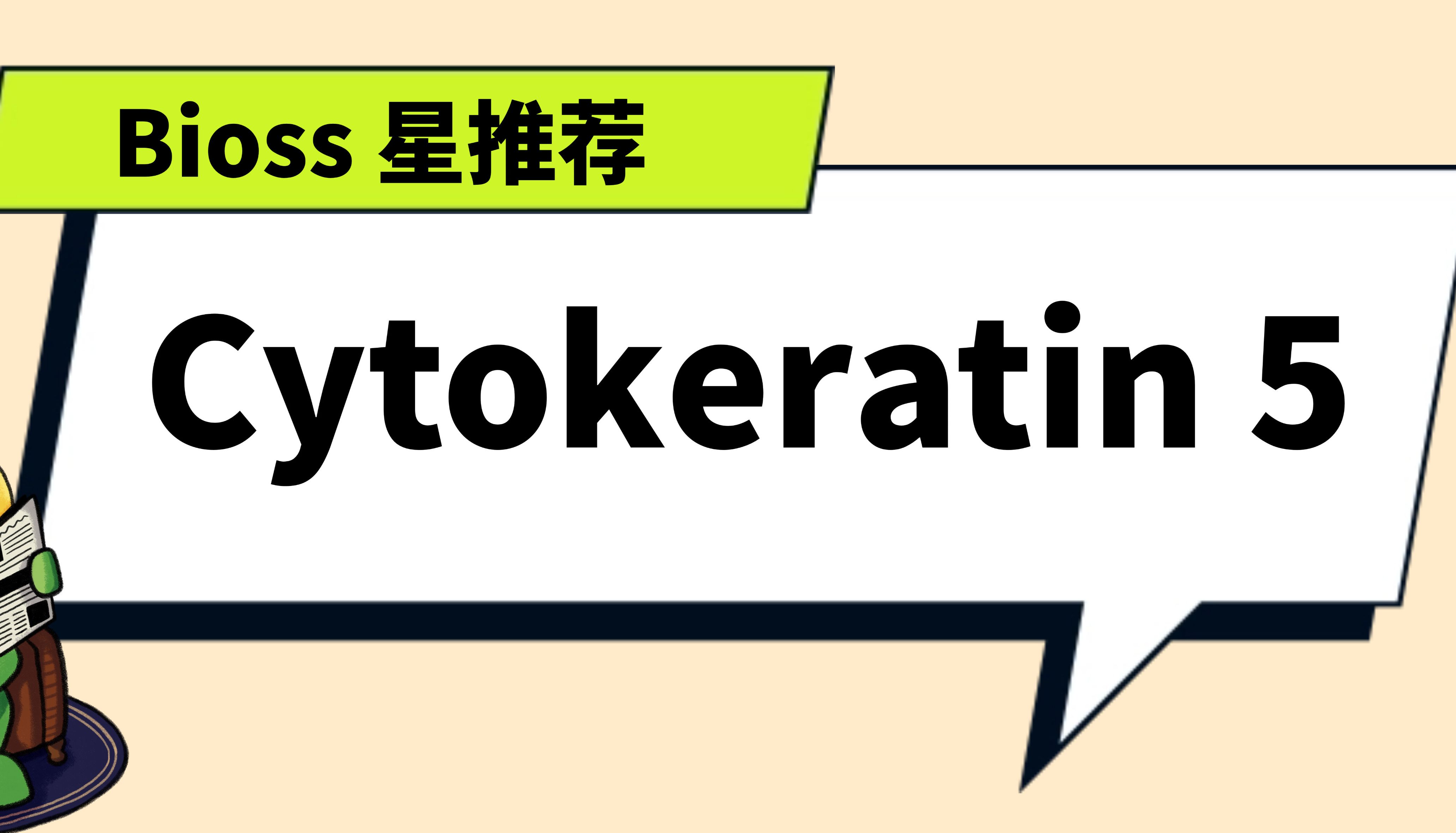 Bioss 星推荐 | CK5 抗体