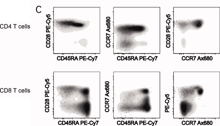 OMIP-005：11色分析抗原反应性T细胞的定性和表型