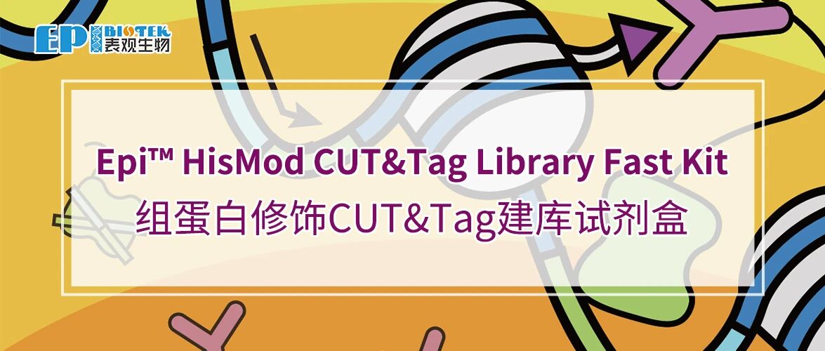 组蛋白修饰CUT&Tag建库试剂盒:Epi™ HisMod