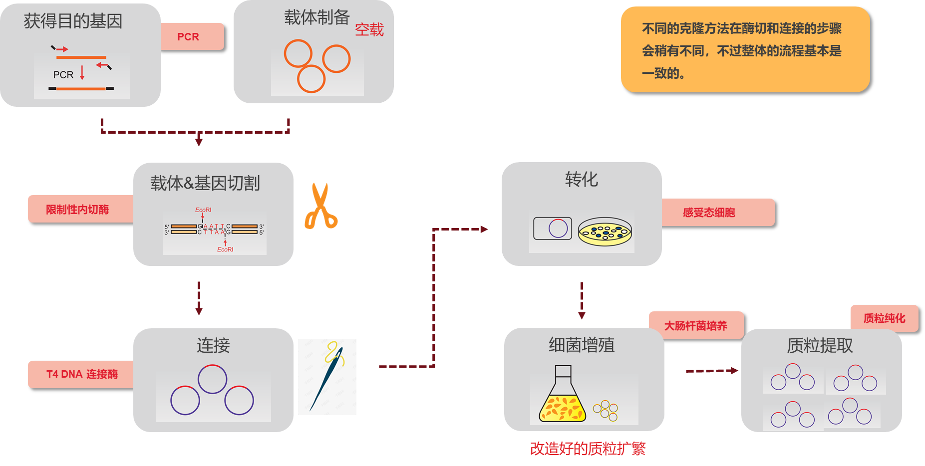 分子克隆:探索基因世界的“复制粘贴”术