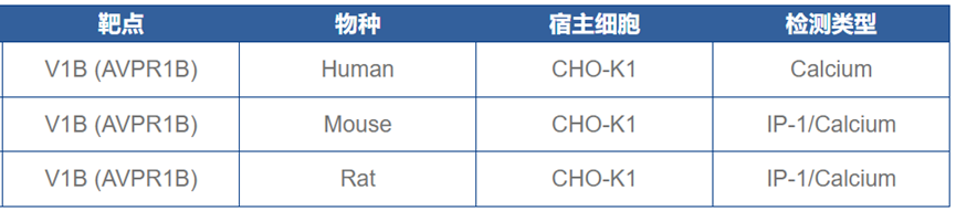 探索V1B受体：压力与情绪调节的关键角色