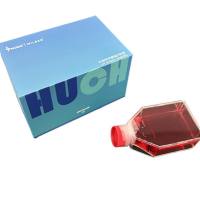 THP-1（人单核细胞白血病）(STR鉴定正确)