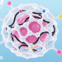  双靶向协同递送平台：曲妥珠单抗（Trastuzumab）/TAT肽修饰PLA微球增强阿霉素核效应