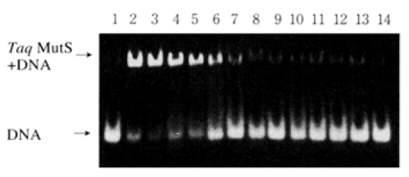 1214525798008452.png 1214525798008452.png