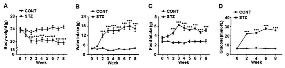 疾病研究“金标准”:一文囊括经典动物/细胞造模解决方案