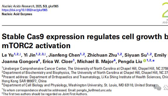 Nucleic Acids Research | Cas9的“分子胶水”效应：通过激活核糖体-mTORC2通路调控细胞生长