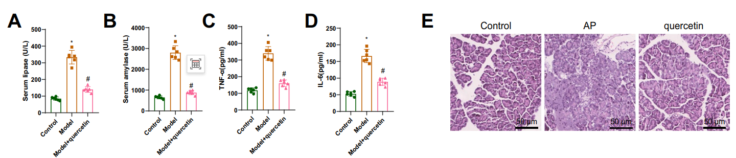 疾病研究“金标准”:一文囊括经典动物/细胞造模解决方案