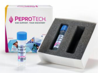 Recombinant Human FGF-basic (154 a.a.)