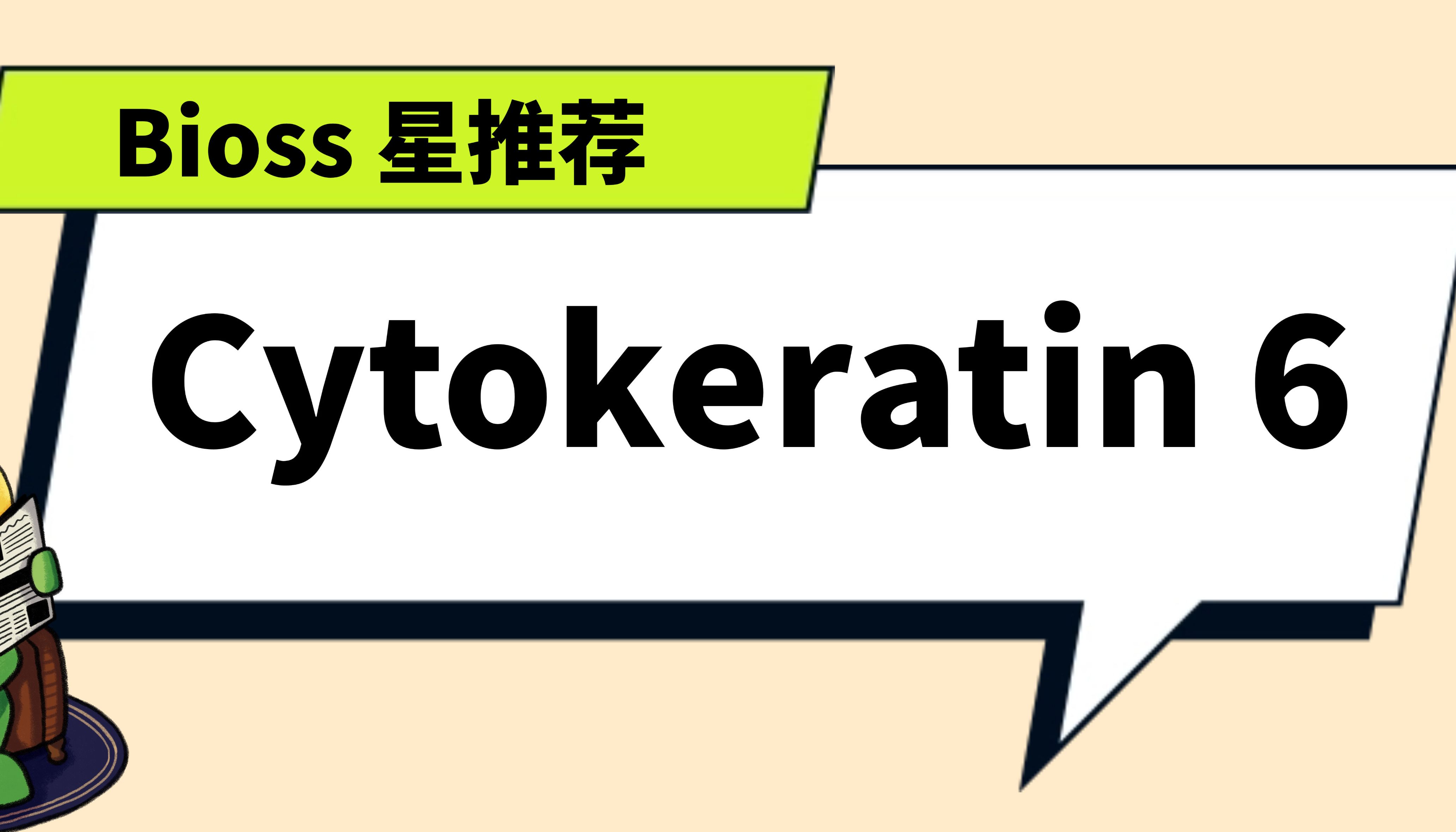 Bioss 星推荐 | CK6 抗体