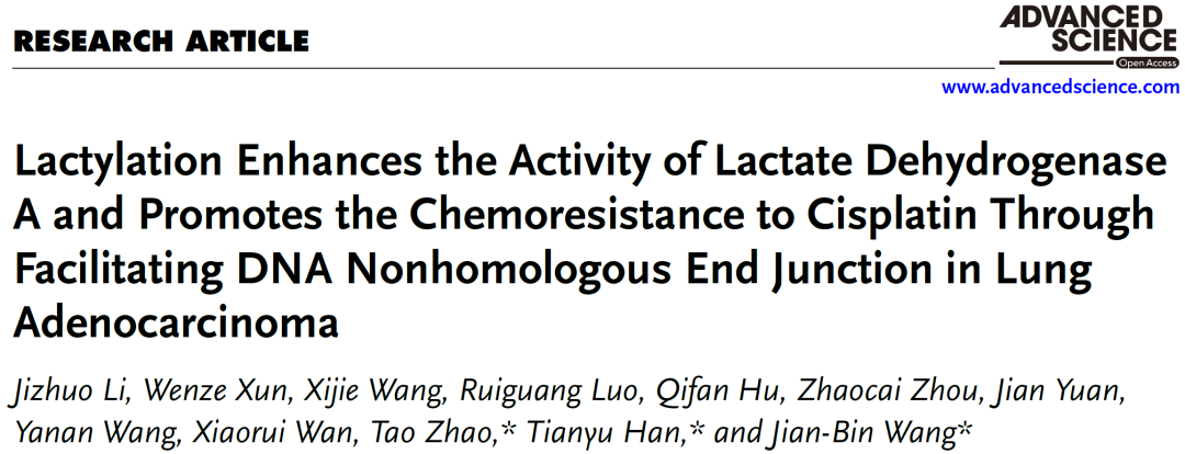 Adv Sci | 南昌大学王建斌团队：乳酸化与LDHA在肺腺癌化疗耐药中的双向调控