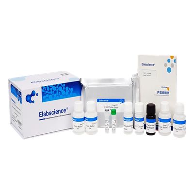 高敏检测小鼠 IFN-γ！Elabscience CellaQuant™-小鼠γ干扰素elisa试剂盒助力炎症机制研究