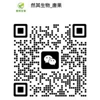 Invitrogen A-21206 Donkey anti-Rabbit IgG (H+L) Highly Cross-Adsorbed Secondary Antibody, Alexa Fluor™ 488