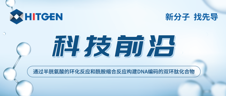 科技前沿 | 通过半胱氨酸的环化反应和酰胺缩合反应构建DNA编码的双环肽化合物