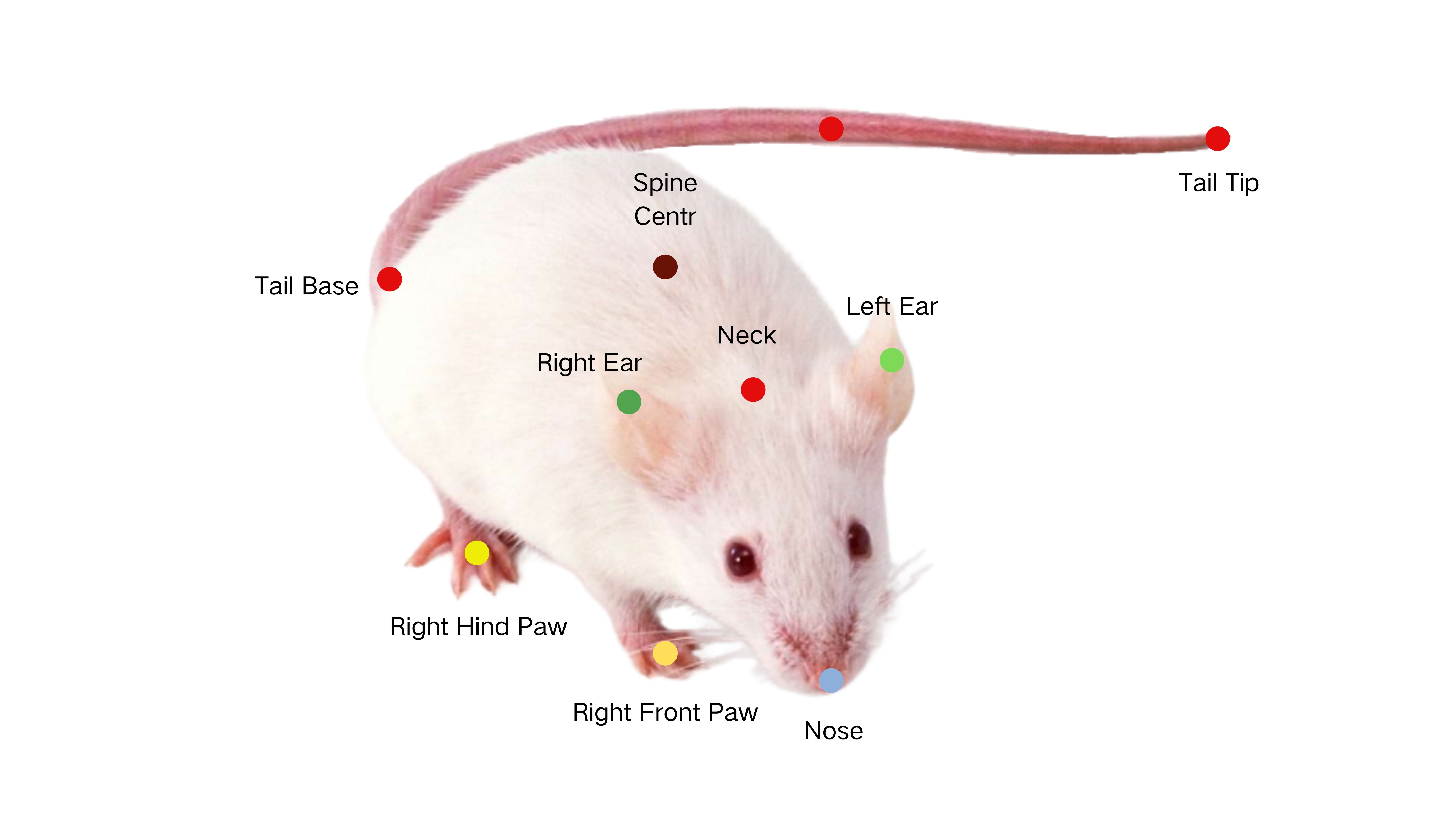 西安交通大学-动物行为学整体实验室安装培训完毕！