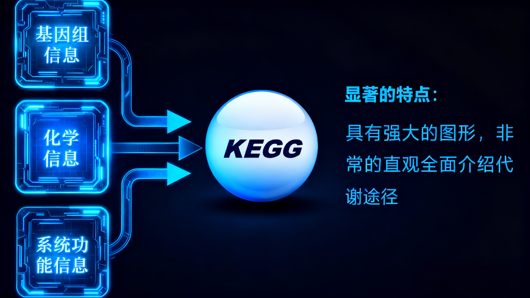 深入解析KEGG数据库：从宏基因组功能注释到生物学洞见