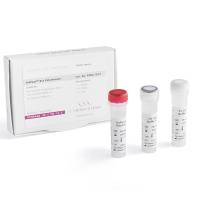 IsoFast® Bst 预混液