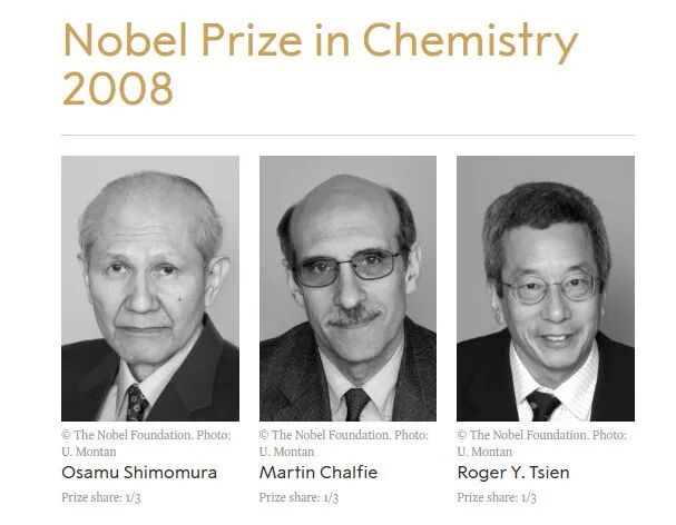 后GFP时代 | 当GFP荧光淬灭：抗体如何让信号“死而复生”