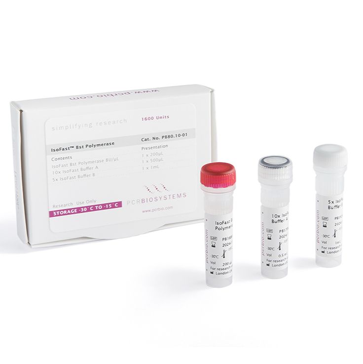 IsoFast® Bst 聚合酶