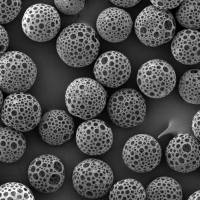 多柔比星与miR-34a的协同增效：靶向CD44的透明质酸（HA）修饰 PLGA微球的联合疗法攻克