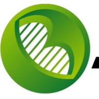 盐酸四环素 (四环素盐酸盐)