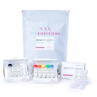 Illumina 平台专用 NGSBIO 文库定量蓝色试剂盒Separate-ROX