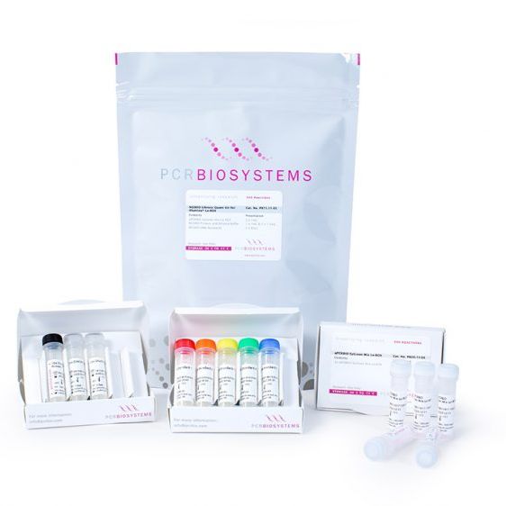 Illumina 平台专用 NGSBIO 文库定量蓝色试剂盒Hi-ROX