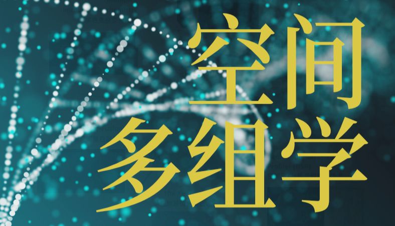 空间多组学【首次】界定DLBCL特异空间微环境