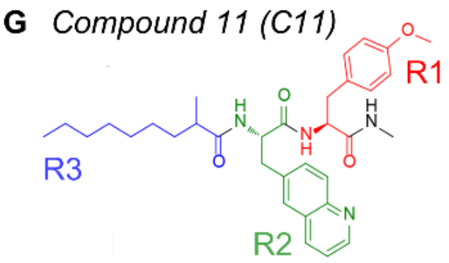 科技前沿 | OpenDEL®筛选新突破:诺奖团队发现心脏病治疗潜在新机制