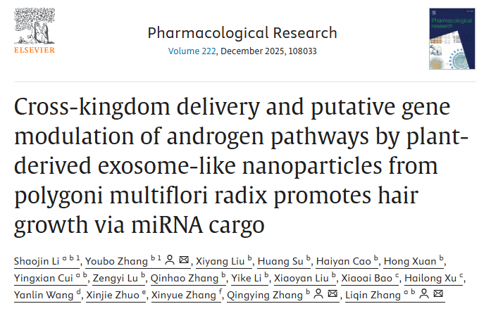 IF：10+思路直接抄！从 PMENs 到动物验证，何首乌外泌体miRNA跨界调控雄激素通路，科研人速戳！