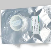 硝酸纤维素膜（NC膜）