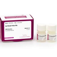 Lyo-Ready Probe一步法试剂盒  Evaluation Kit 