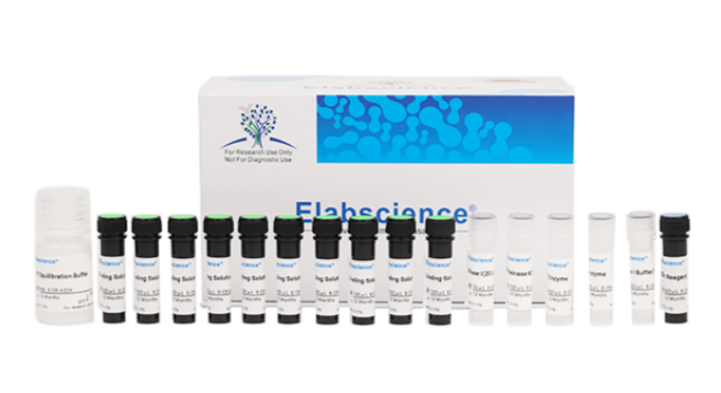 TUNEL检测细胞凋亡原理