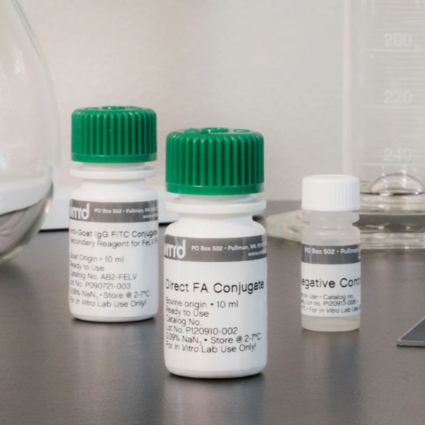 犬细小病毒(CPV)FITC标记抗体 单抗