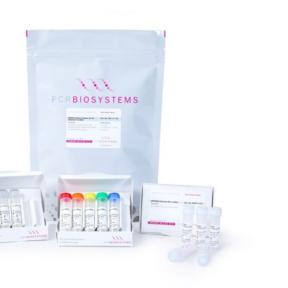 Illumina 平台专用 NGSBIO 文库定量试剂盒Separate-ROX