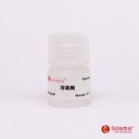 溶菌酶（100mg/ml）