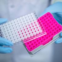 凝胶上样缓冲液