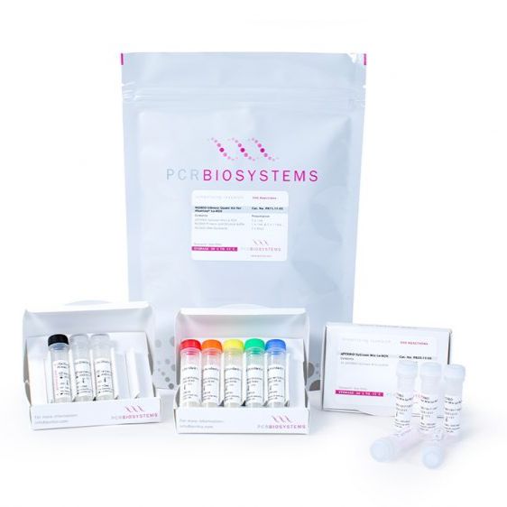 NGSBIO Illumina 平台 DNA 标准品