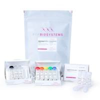 NGSBIO Illumina 平台 DNA 标准品