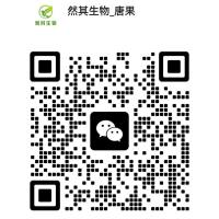 人原代肺微血管内皮细胞