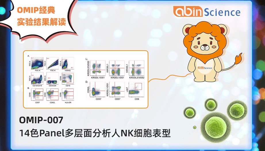 OMIP-007:14色Panel多层面分析人NK细胞表型