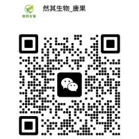 1640无糖液体培养基