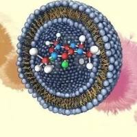 具备增强皮肤穿透与肿瘤靶向性的iRGD修饰柔性脂质体用于5-氟尿嘧啶（5-FU）局部递送