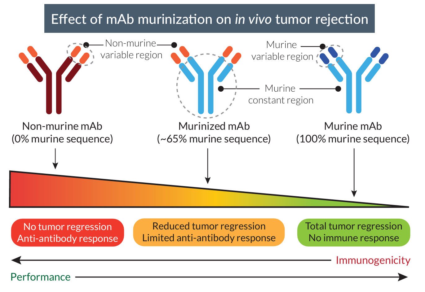 重组抗小鼠单克隆抗体产品线 重组抗小鼠单克隆抗体产品线