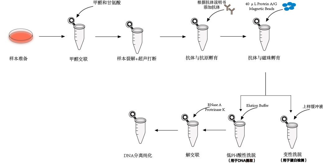 产品细节图片1