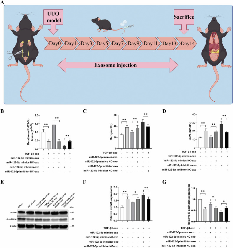 QPCR检测 QPCR检测