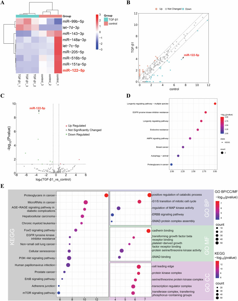 生物信息学分析 生物信息学分析