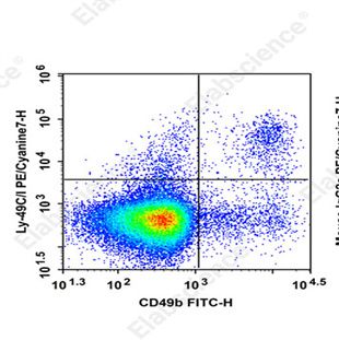 Elabscience PE/Cyanine7 标记抗小鼠 Ly-49C/I 抗体[5E6]：NK 细胞研究痛点全攻克，精准检测不踩雷！